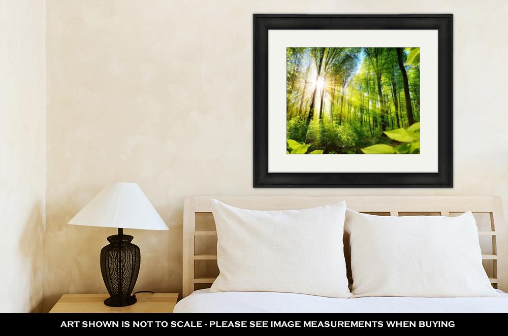 Framed Print, Scenic Forest Of Fresh Green Deciduous Trees Framed By Leaves With The Sun - ultrawallart.com