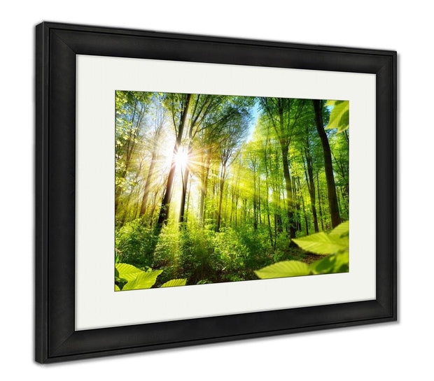 Framed Print, Scenic Forest Of Fresh Green Deciduous Trees Framed By Leaves With The Sun - ultrawallart.com