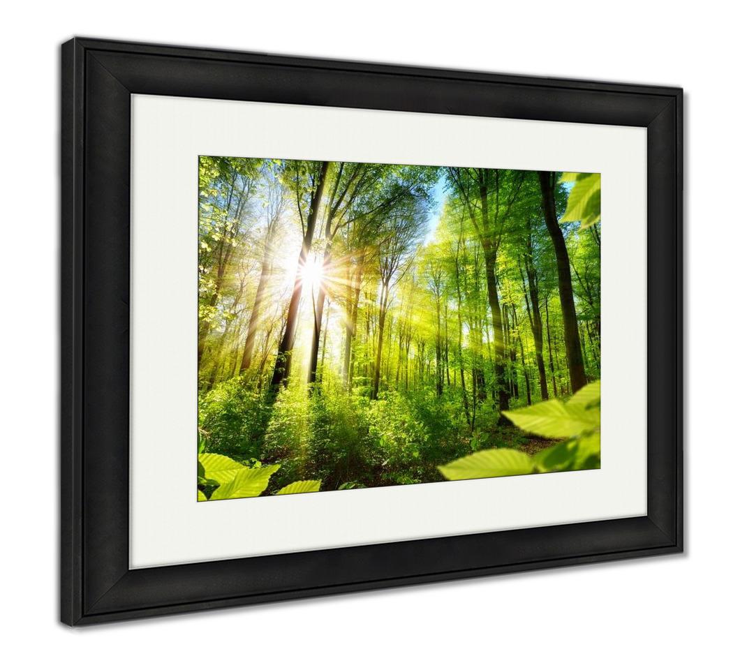 Framed Print, Scenic Forest Of Fresh Green Deciduous Trees Framed By Leaves With The Sun - ultrawallart.com