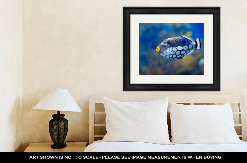 Framed Print, Underwater Image Of Tropical Fishes - ultrawallart.com