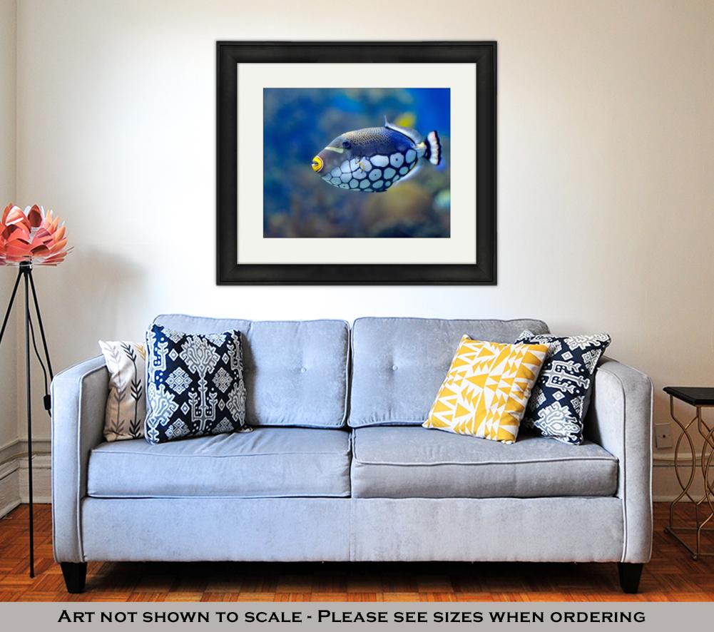 Framed Print, Underwater Image Of Tropical Fishes - ultrawallart.com