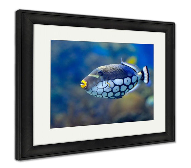 Framed Print, Underwater Image Of Tropical Fishes - ultrawallart.com