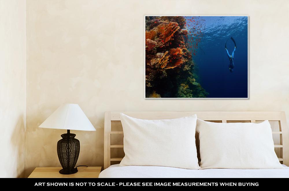 Gallery Wrapped Canvas, Freediver Descending Along The Vivid Reef Wall Red Sea Egypt - ultrawallart.com
