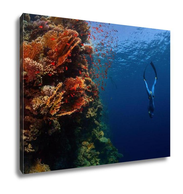 Gallery Wrapped Canvas, Freediver Descending Along The Vivid Reef Wall Red Sea Egypt - ultrawallart.com