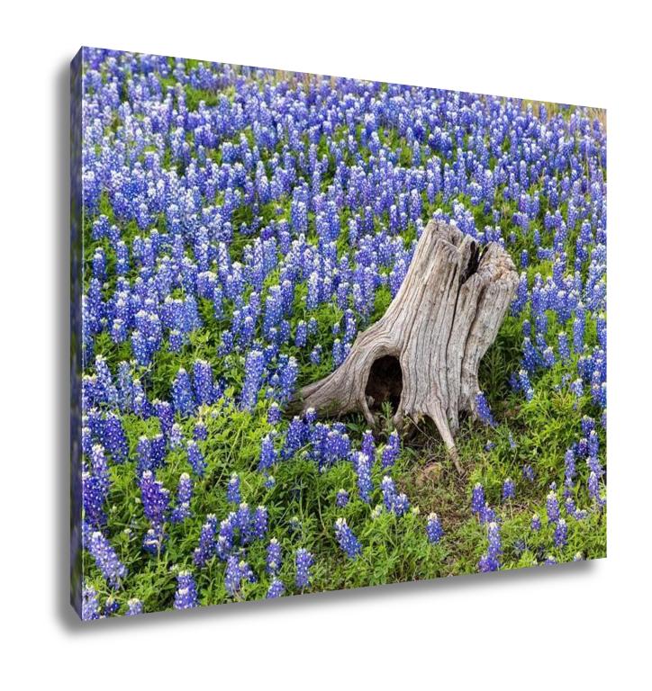 Gallery Wrapped Canvas, Austin Beautiful Texas Bluebonnets Field And Tree Stump - ultrawallart.com