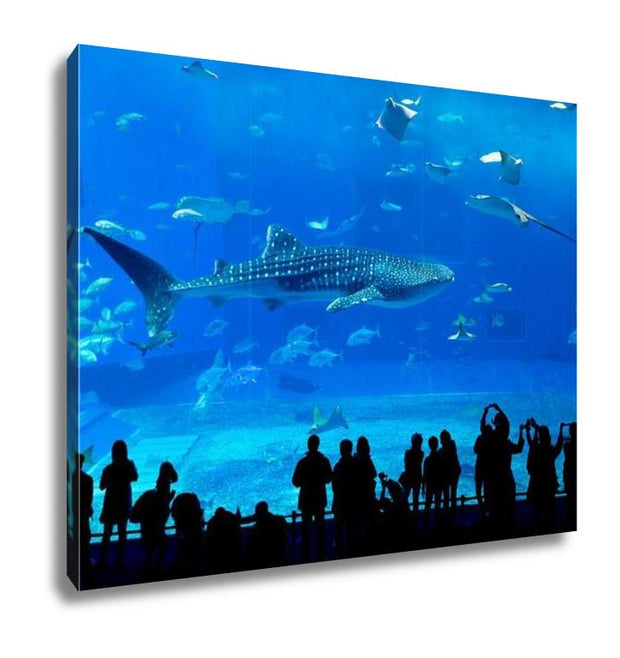 Gallery Wrapped Canvas, Atlantwhale Shark In Okinawchuraumi Aquarium - ultrawallart.com