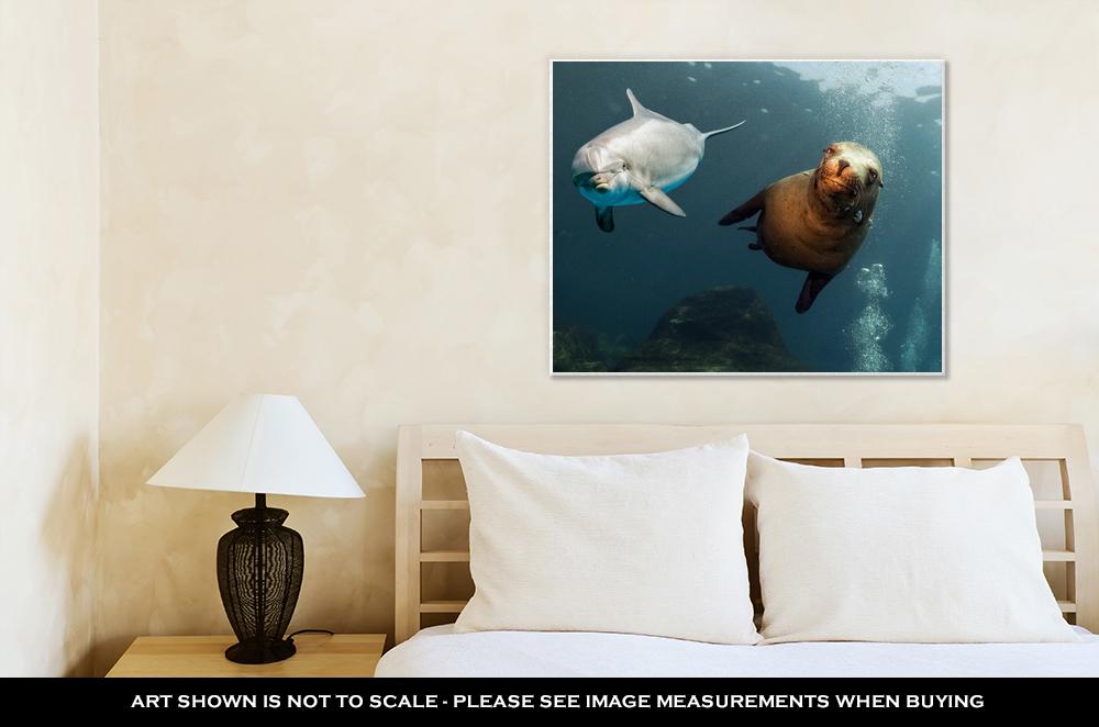 Gallery Wrapped Canvas, Dolphin And Sea Lion Underwater Close Up - ultrawallart.com