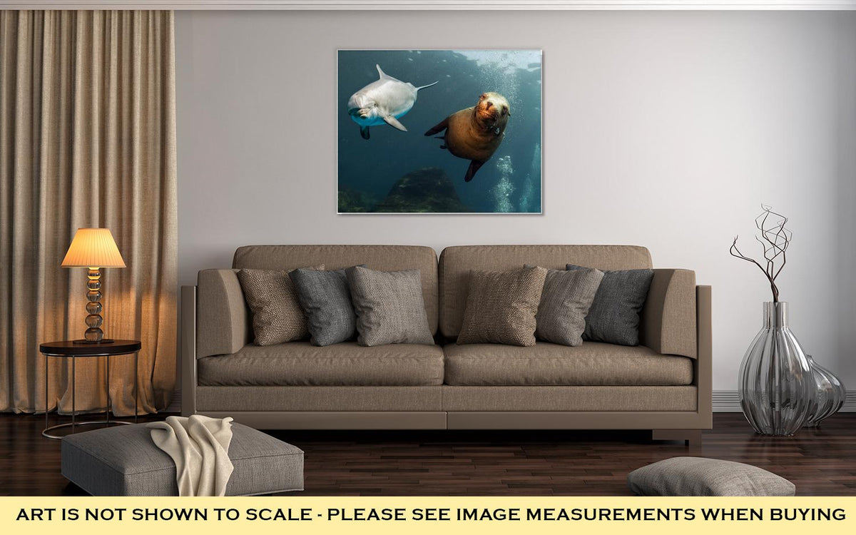 Gallery Wrapped Canvas, Dolphin And Sea Lion Underwater Close Up - ultrawallart.com