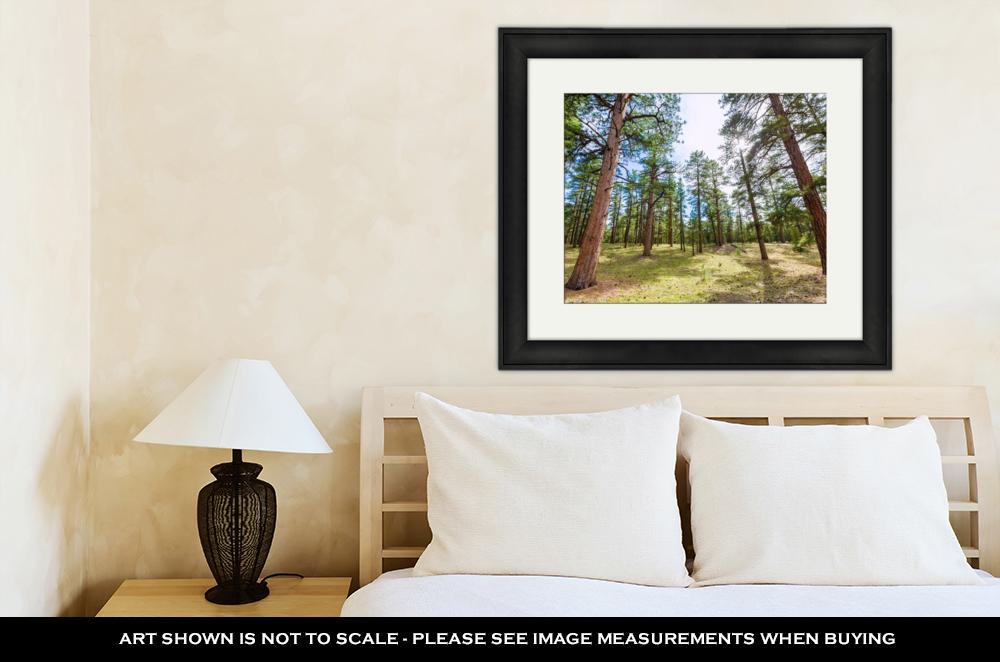 Framed Print, Pine Tree Forest In Grand Canyon Arizona - ultrawallart.com