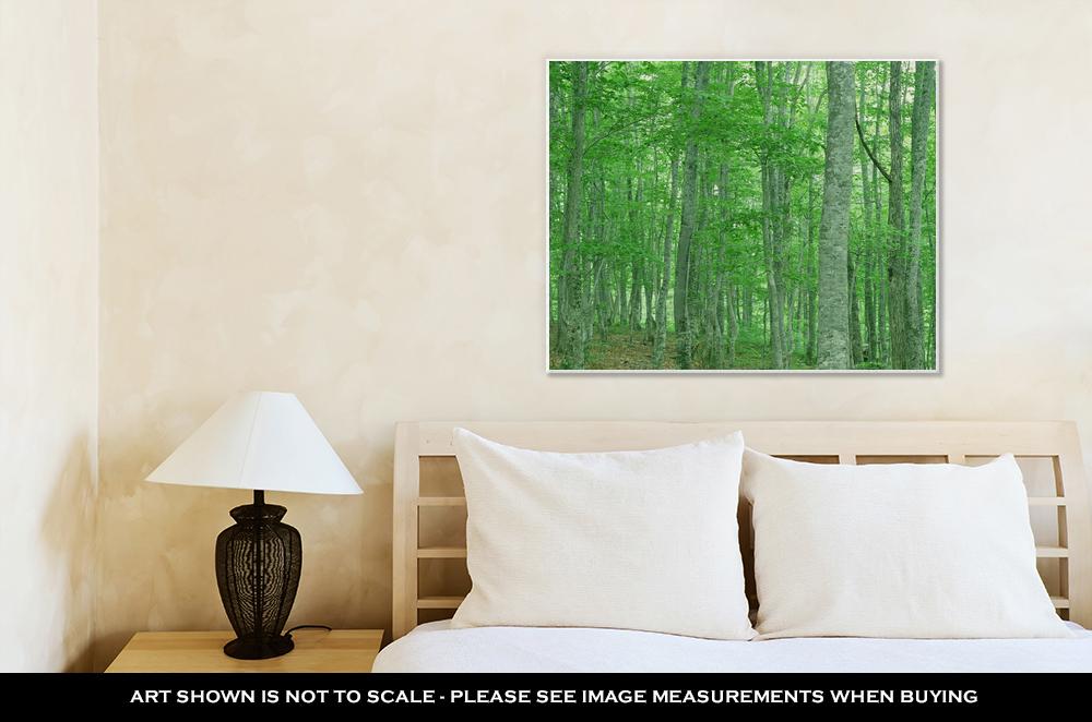 Gallery Wrapped Canvas, Green Forest Nature Landscape - ultrawallart.com