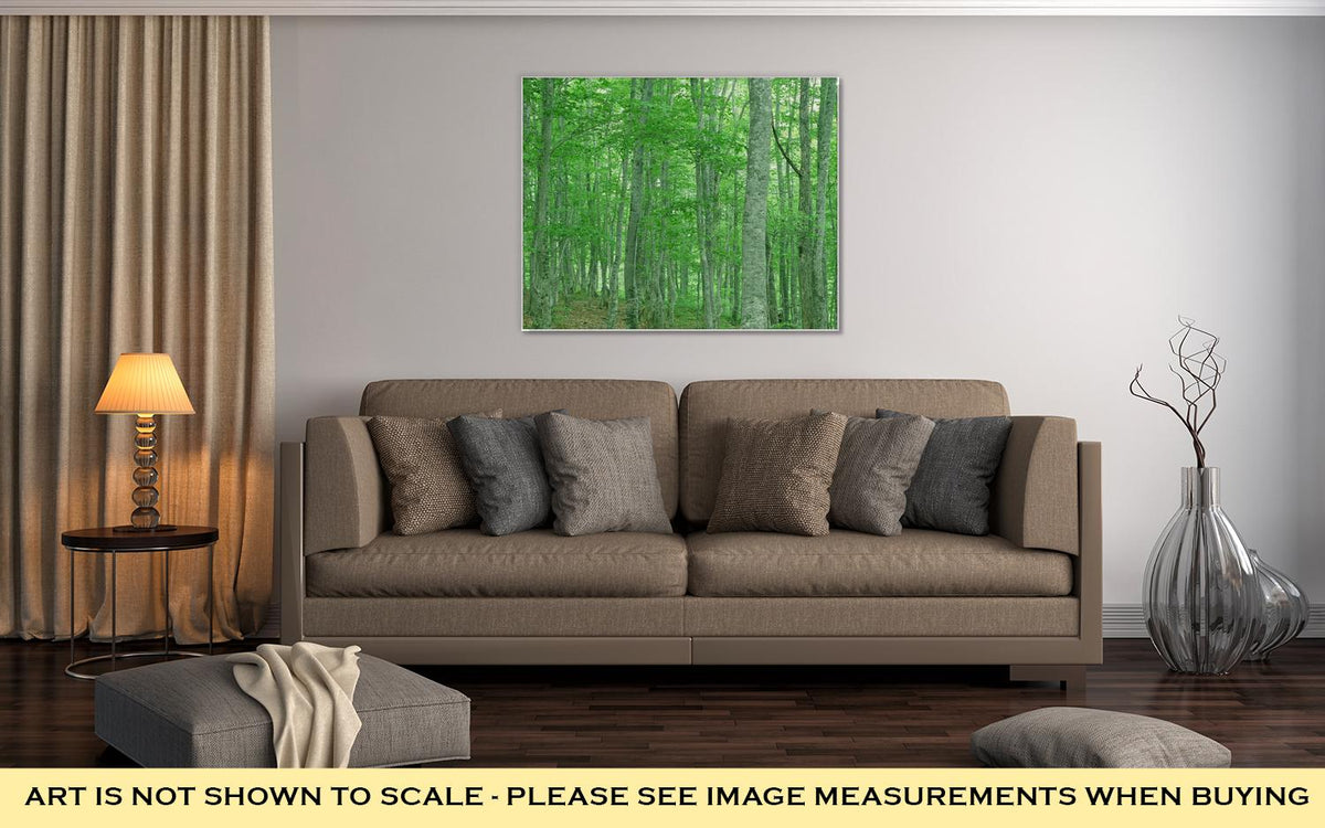 Gallery Wrapped Canvas, Green Forest Nature Landscape - ultrawallart.com