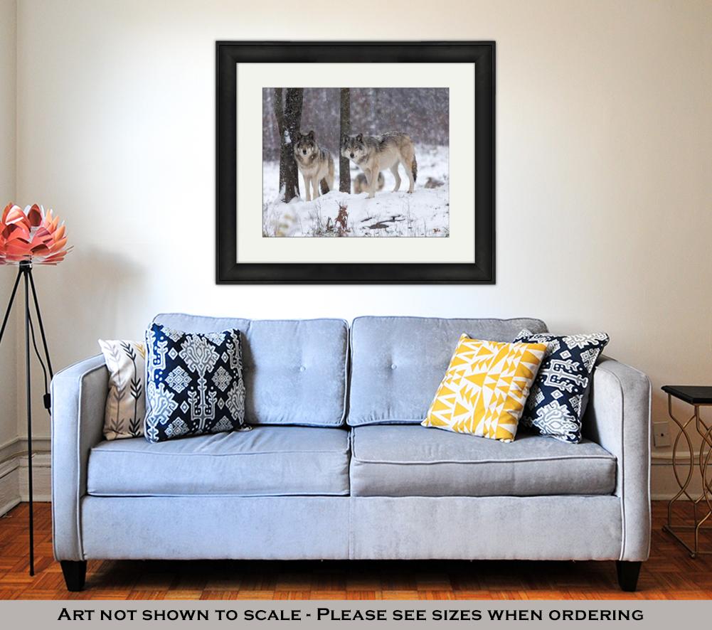 Framed Print, Lone Timber Wolf In A Snow Storm - ultrawallart.com