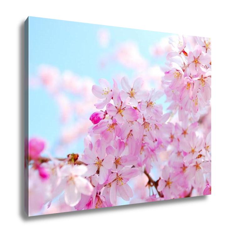 Gallery Wrapped Canvas, Japanese Cherry Blossoms - ultrawallart.com