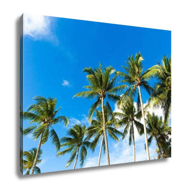 Gallery Wrapped Canvas, Tropical Palm Trees In The Blue Sunny Sky - ultrawallart.com
