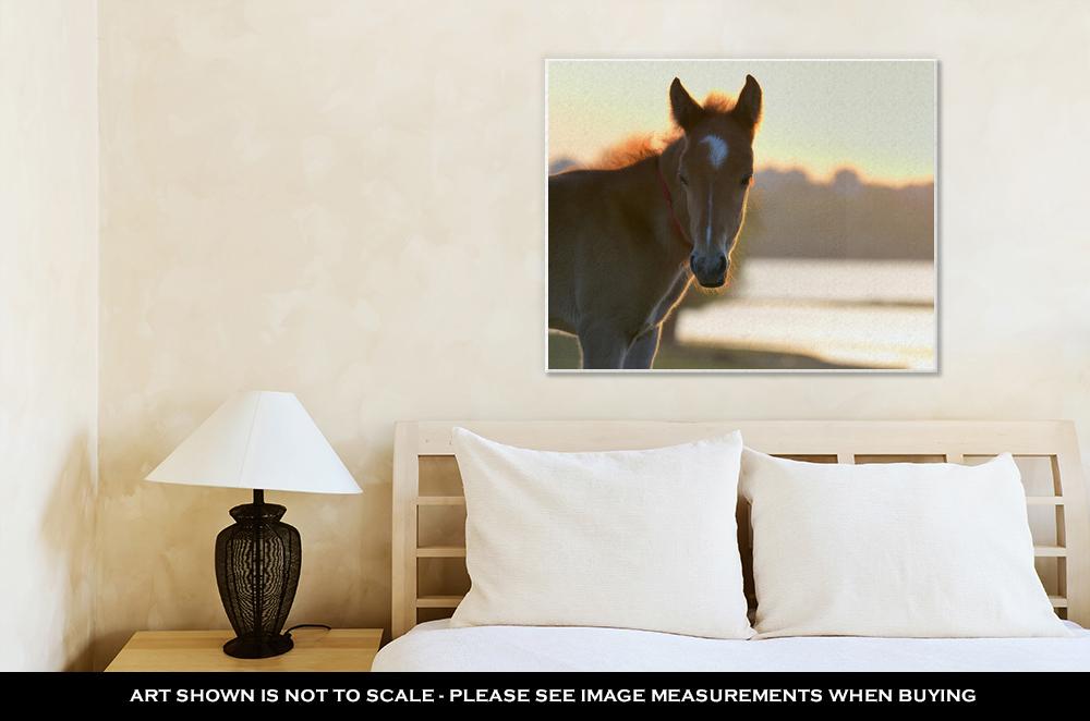 Gallery Wrapped Canvas, New Young Foal On Field At Sunset - ultrawallart.com