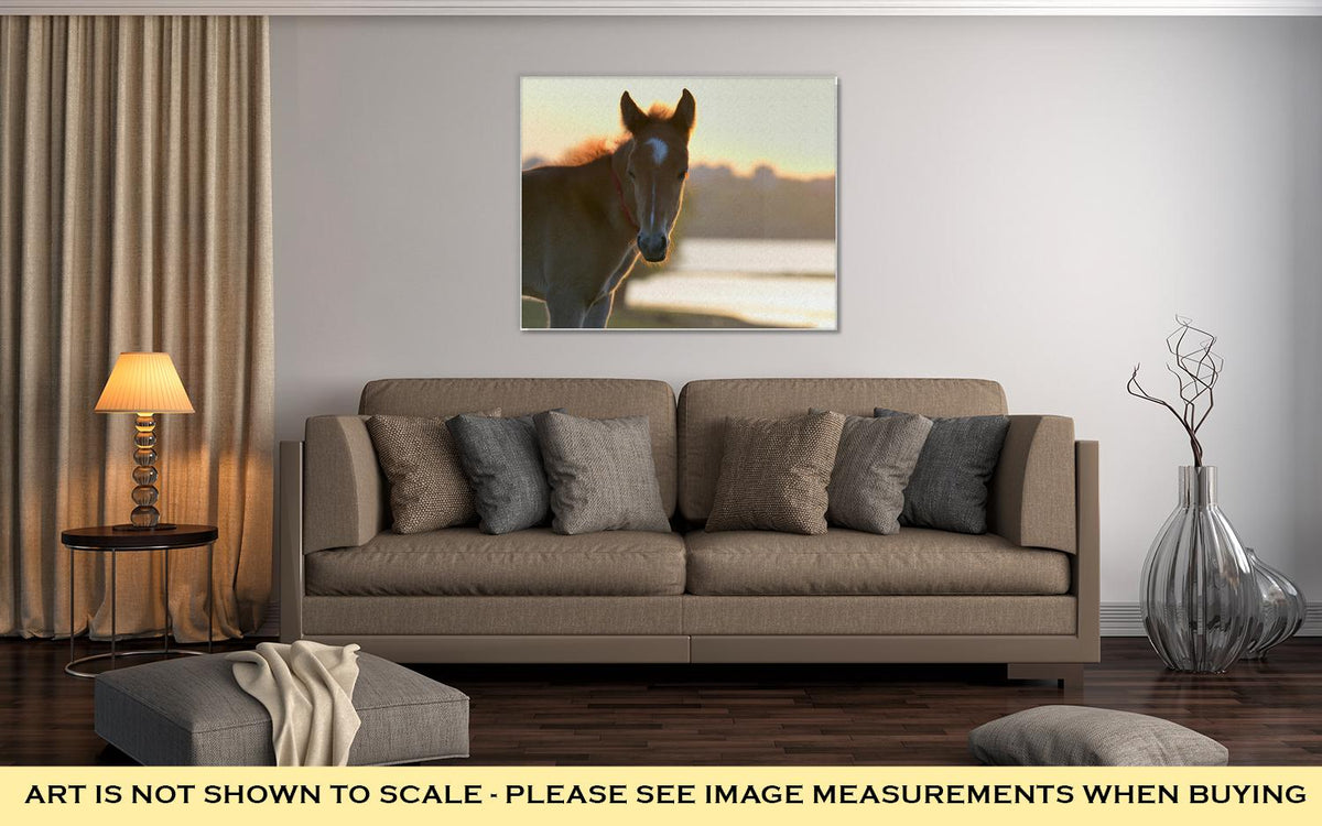 Gallery Wrapped Canvas, New Young Foal On Field At Sunset - ultrawallart.com