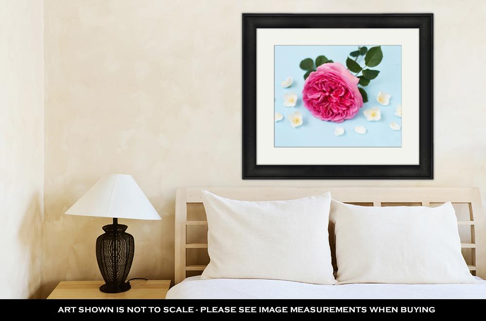 Framed Print, Princess Alexandra Of Kent Rose Jasmine Flowers And Petals On Blue Background - ultrawallart.com
