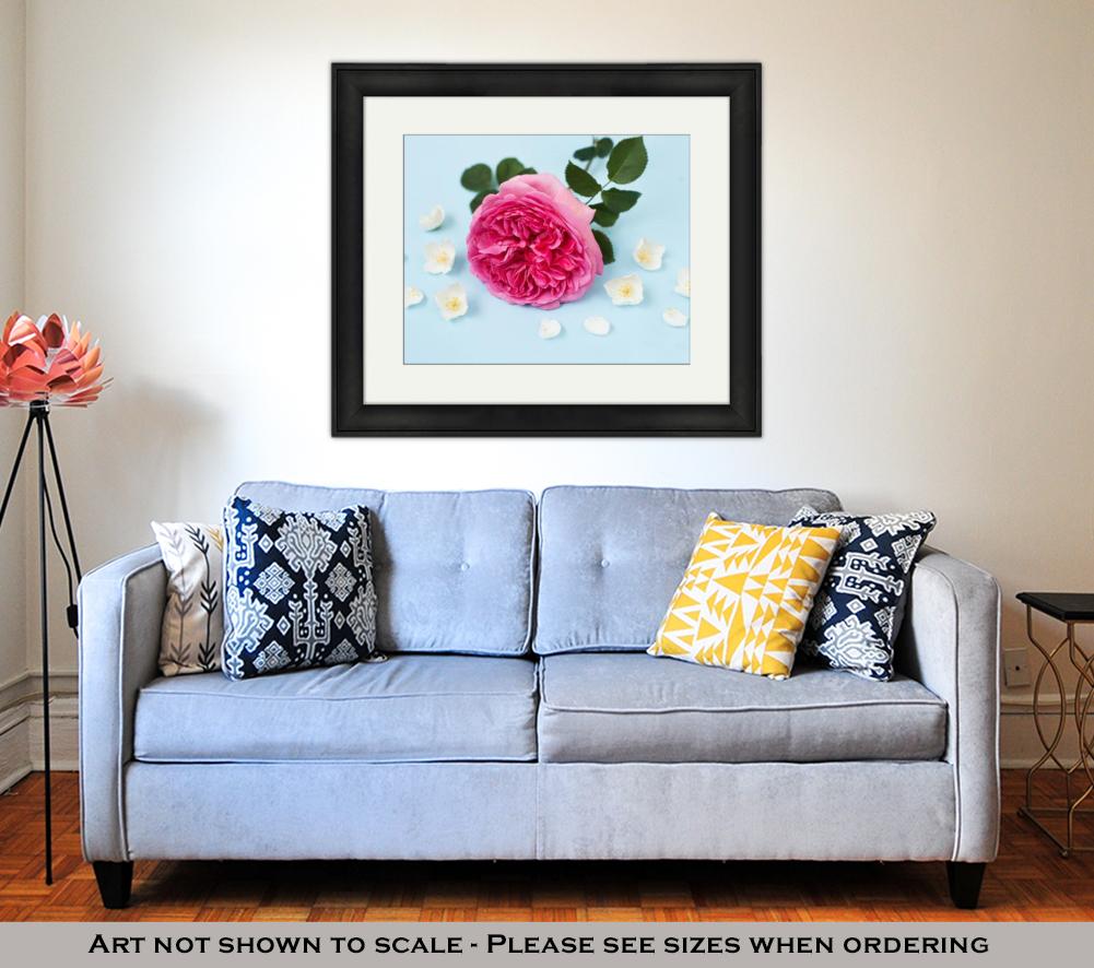 Framed Print, Princess Alexandra Of Kent Rose Jasmine Flowers And Petals On Blue Background - ultrawallart.com