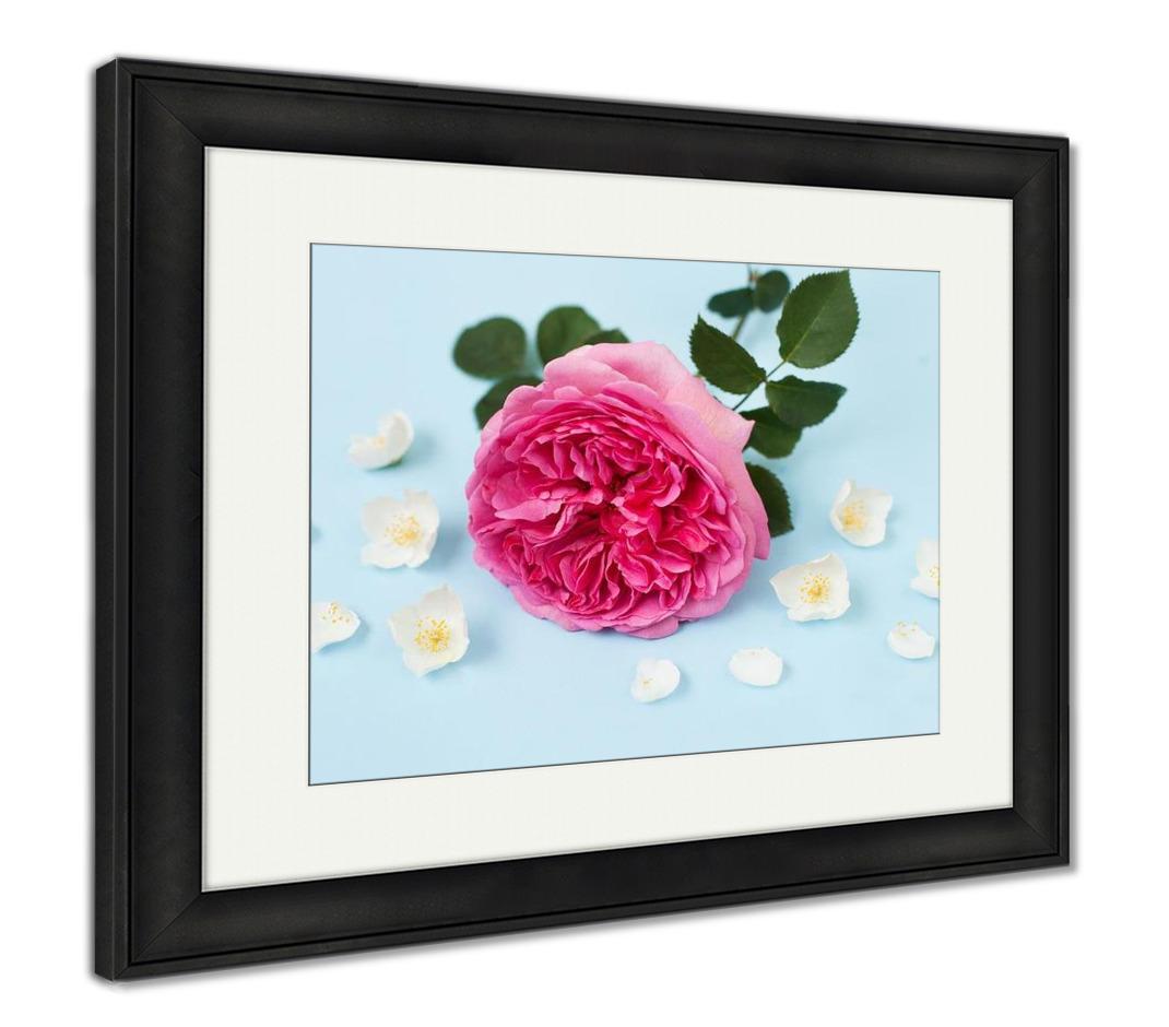 Framed Print, Princess Alexandra Of Kent Rose Jasmine Flowers And Petals On Blue Background - ultrawallart.com