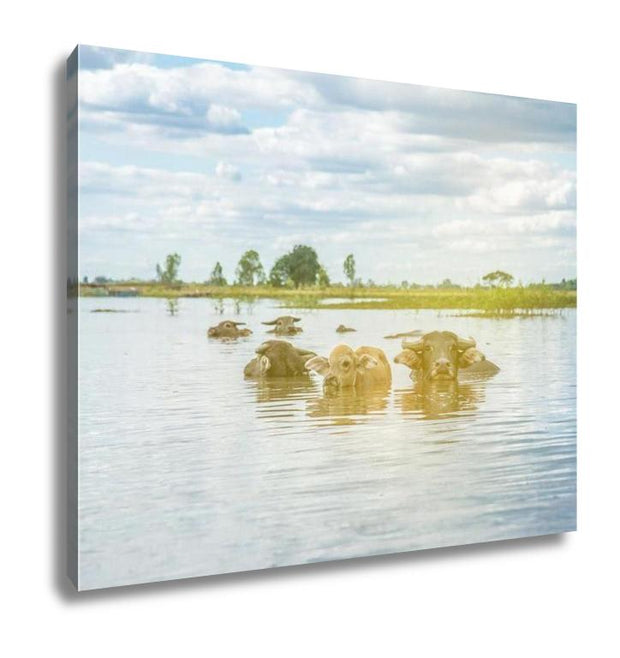 Gallery Wrapped Canvas, The Domestic Buffalo Hides In River Thailand - ultrawallart.com